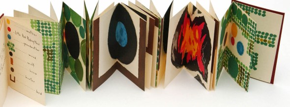 lavater-carapuchina-vermella-libro