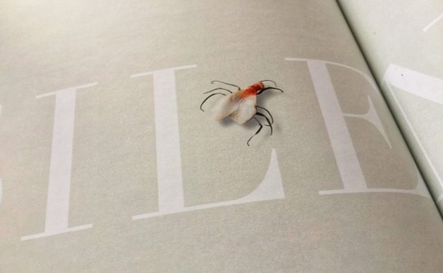 Encontro de páxina en "Mondas".