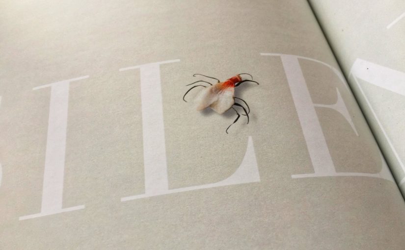 Encontro de páxina en "Mondas".