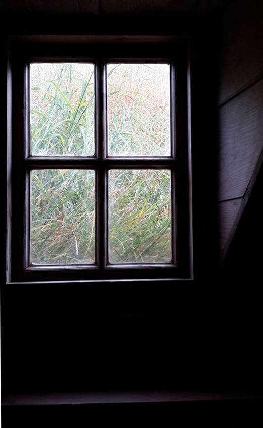 "Follas de herba, Islandia", fotografía de Marta G. de Lema